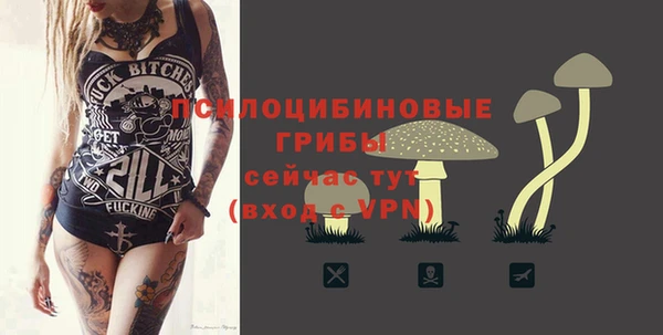 СК Аркадак