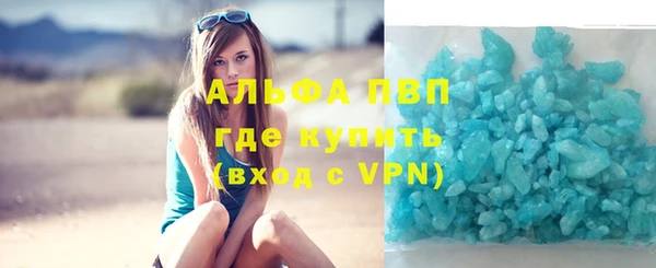 СК Аркадак